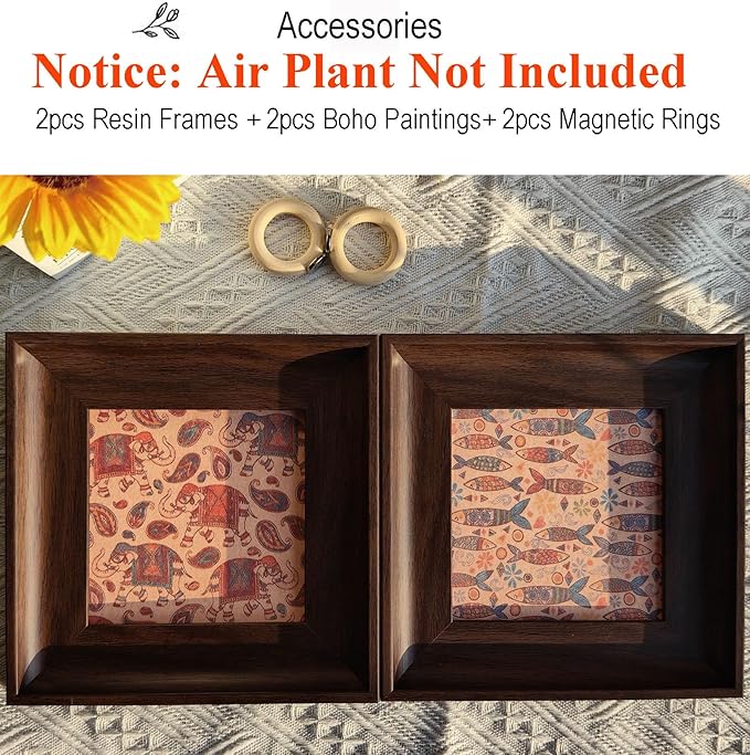 DUFIPOR 2 Pack Magnetic Boho Wall Art & Air Plant Stand Frame Set | 2-in-1 Textured DIY Airplant Holder | No-Drill Bohemian Prints for Living Room Bedroom Office | Home Decor & Plant Lovers Gift