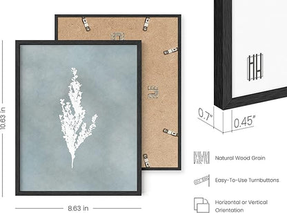 HAUS AND HUES Floral Wall Art - Set of 4 Plant Posters for Wall Vintage Botanical Prints, Flower Pictures for Room Aesthetic, Vintage Art Prints Flower Wall Art (Black Frame, 8x10)
