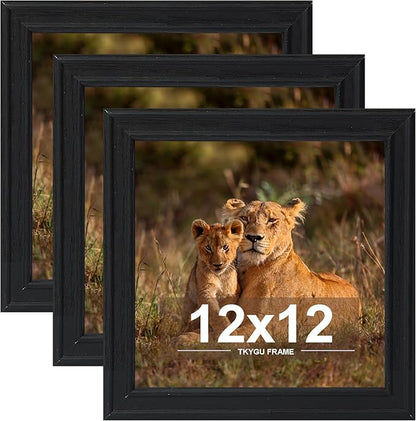 12x12 in Picture Frame set of 3, Horizontal and Vertical Formats for Wall Hanging, 12 x 12 Square Wall Gallery Black Poster Photo Frame with Shatter Resistant Plexiglass,best gift