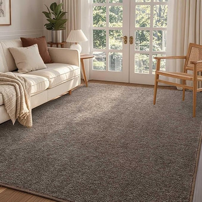 FinRèc 4x6 Washable Area Rugs for Bedroom Living Room, Low Pile Thin Rug Solid Color, Non-Slip Carpet Indoor for Home Decor (Brown/White)