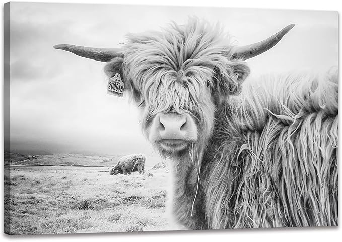 Black and White Cow Bull Yak Canvas Picture Wall Decor Farmhouse Baby Highland Cow Decor Bathroom Picture Wall Art Framed for Home Office (12x16 inch)