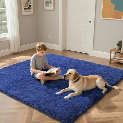 Blue Fluffy Rug Shag Area Rug, 2x4 Area Rugs for Girls Bedroom, Soft Cute Baby Play Mat, Indoor Floor Carpet for Teen, Nursery, Preppy Dorm, Plush Aesthetic Bedside Rug