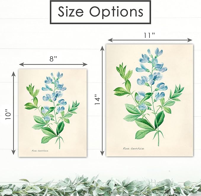DREAM BIG PRINTABLES Vintage Roses Wall Art Prints (Set of 6) - Unframed - 11x14s | Botanical Decor - Vintage Sketch Prints - French Country - Flower Aesthetic Room Decor