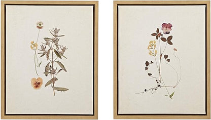 Madison Park French Herbarium Wall Art Living Room Decor - Floral Framed Linen Canvas, Home Accent Country Bathroom Decoration, Ready to Hang Painting for Bedroom, 17.84" X 21.84", Multi