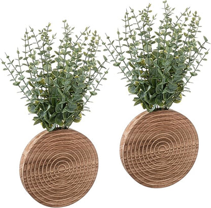 2 Pack Round Wooden Wall Vase Indoor Plants Hanging Boho Modern Farmhouse Wall Art Decor for Living Room, Bathroom Entryway, Hallway Fake Flower Plants