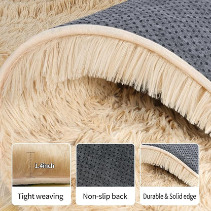 Rug for Living Room Bedroom, 5x7 Area Rugs for Living Room, Ultra Soft Modern Shaggy Carpets Fuzzy Rug for Boys Girls Dorm Nursery Home Decor Aesthetic, Upgrade Non-Slip Durable, Beige