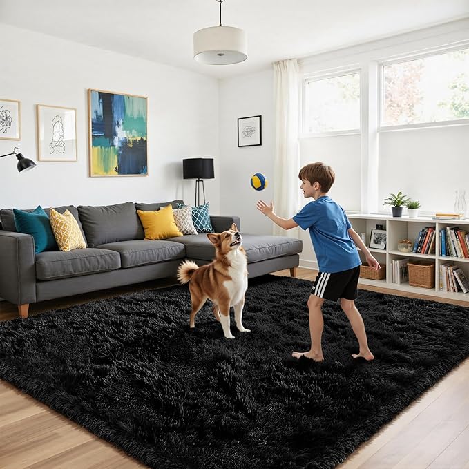 Fluffy Rug Shag Area Rug, Black 2x4 Area Rugs for Bedroom, Small Bedside Rug, Soft Fluffy Shag Entryway Throw Rugs for Living Room Bedroom Kids Room Home Decor
