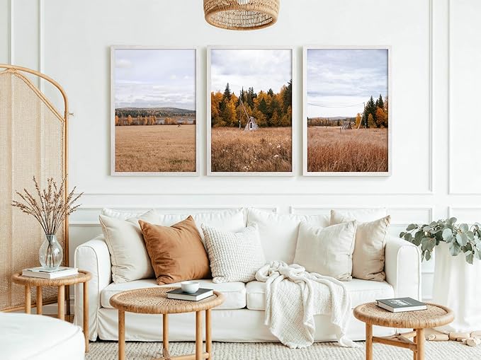 Momentworth 20x30 Frame Set of 3, Rustic White Wood Grain 20x30 Poster Frame for Gallery Wall Mounting (3 Pack,White)