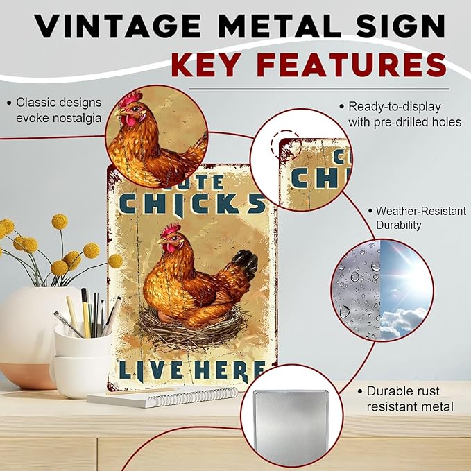 Funny Chicken Coop Signs Vintage Cute Chicks Live Here Metal Decor for Hen House & Farm 12x16Inch