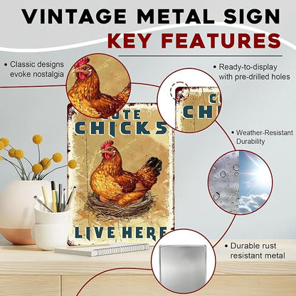 Funny Chicken Coop Signs Vintage Cute Chicks Live Here Metal Decor for Hen House & Farm 12x16Inch