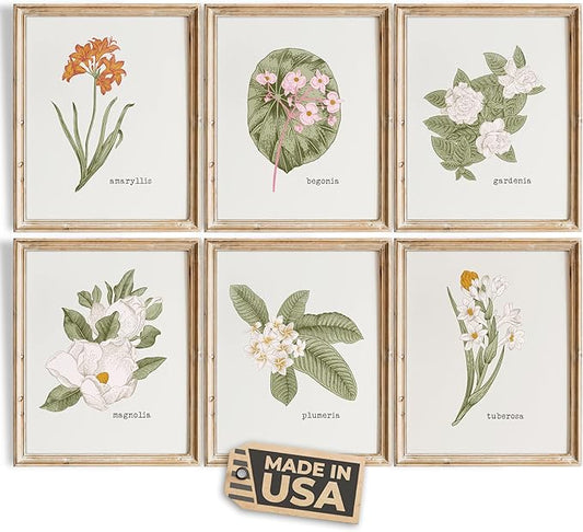 Vintage Botanical Wall Art Prints (Set of 6) - Unframed - 11x14 | Flower Wall Decor | Kitchen Wall Decor | Vintage Wall Decor | Botanical Wall Art | Aesthetic Wall Décor | Living Room Decor