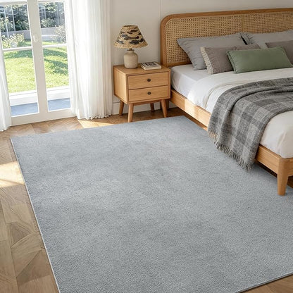 FinRèc 4x6 Washable Area Rugs for Bedroom Living Room, Low Pile Thin Rug Solid Color, Non-Slip Carpet Indoor for Home Decor (Pure Light Grey)