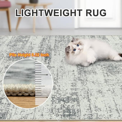 Area Rugs Living Room Rug - 5x7 Washable Modern Abstract Soft Neutral Non-Slip Carpet Large Indoor Floor Stain Resistant Thin Carpets for Bedroom Dining Room Farmhouse Nursery Home Office Grey