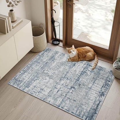 Rugxara 2x3 Entryway Rug,Door Mat Indoor Entrance, Washable Non Slip Kitchen Bathroom Rugs, Ultra-Thin Throw Small Rug for Front Door, Blue Grey