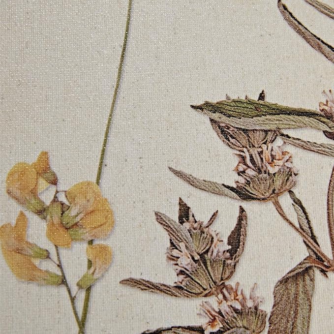 Madison Park French Herbarium Wall Art Living Room Decor - Floral Framed Linen Canvas, Home Accent Country Bathroom Decoration, Ready to Hang Painting for Bedroom, 17.84" X 21.84", Multi