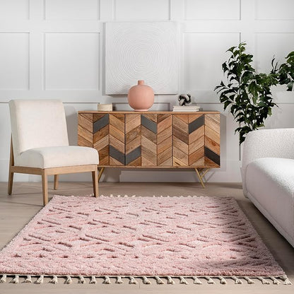 nuLOOM Akia Lattice High/Low Tassel Area Rug, 7'10" x 10', Pink