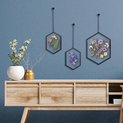 Americanflat Metal Floating Frame with Chain - Set of 3 - Use as 8x10 or 5x7 Frame - Pressed Flower Display for Wall Decor - Elegant Black Molding with Shatter-Resistant Glass