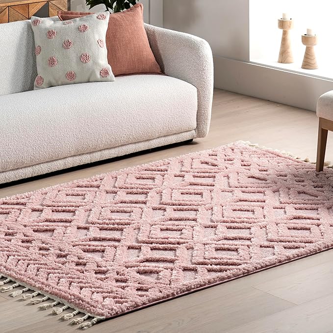 nuLOOM Akia Lattice High/Low Tassel Area Rug, 7'10" x 10', Pink
