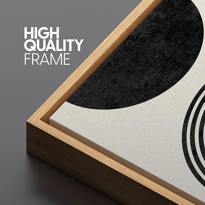 SIGNLEADER Framed Canvas Print Wall Art Spiral Parabolas & Solid Semi Circle Geometric Shapes Drawings Modern Art Contemporary Edgy Black and White for Living Room, Bedroom, Office - 24"x36"x3 Natural