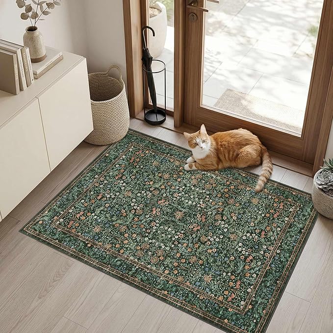 Rugxara Entryway Rug Door Mat, Washable Samll 2x3 Rug, Boho Green Front Door Mat, Non Slip Area Rugs, Low Pile Throw Accent Entry Carpet for Indoor Entrance, Bathroom and Kitchen(Green 2x3ft)