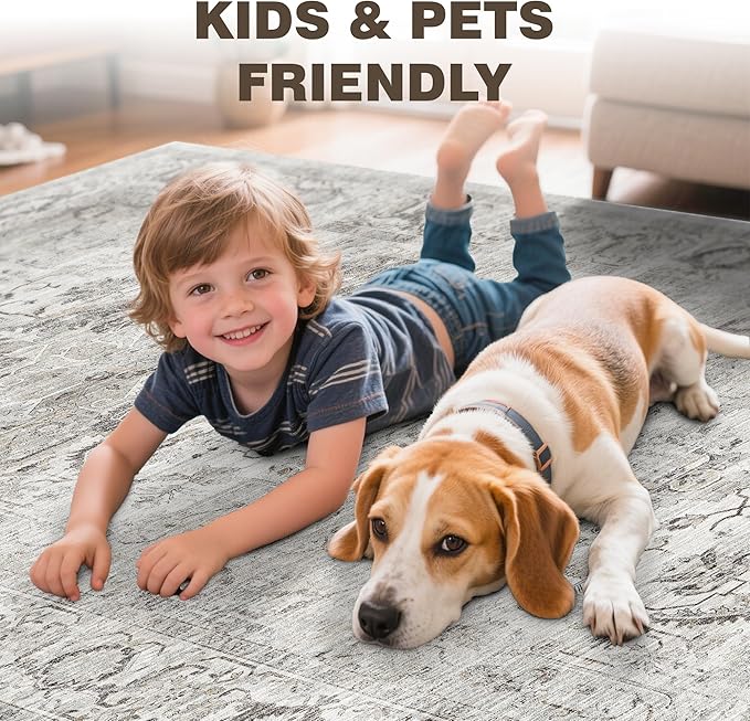 Washable 5x7 Area Rug - Soft Ultra Thin Living Room Rugs Stain Resistant Non Slip Area Rugs for Bedroom Vintage Home Decor Indoor Floor Mat (Ivory/Gray,5'x7')