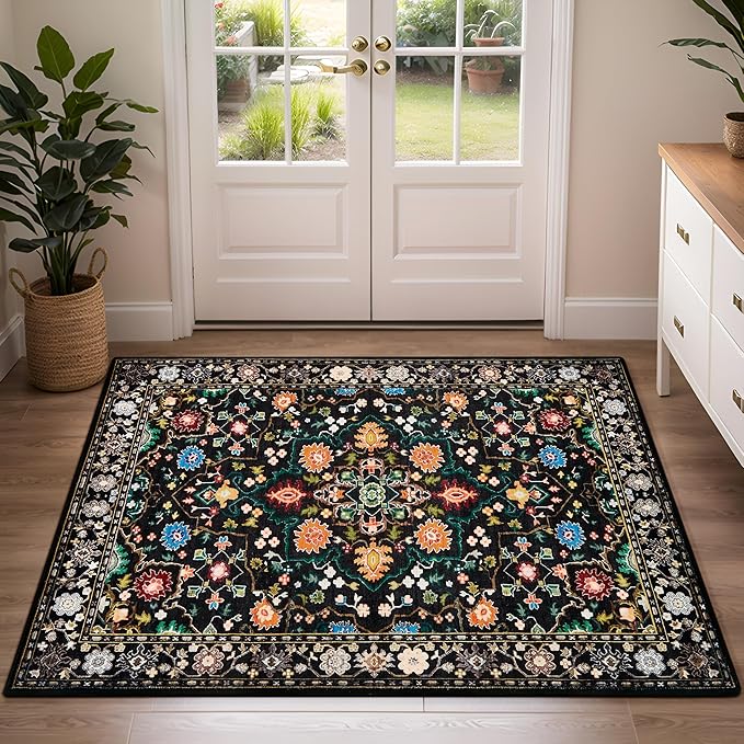 Entrance Rugs Indoor 2x3 Entry Rug Doormat, Washable Vintage Small Area Rug Non-Slip Low Pile Throw Rugs for Entryway, Kitchen Floor, Front Indoor Door Mat, Bathroom, Bedroom Bedside, Black