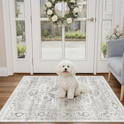 Washable 2x3 Area Rug - Non-Slip Low Pile Entryway Rug Stain Resistant Indoor Carpet for Inside Front Door Bedroom Kitchen Bathroom Ivory/Gray