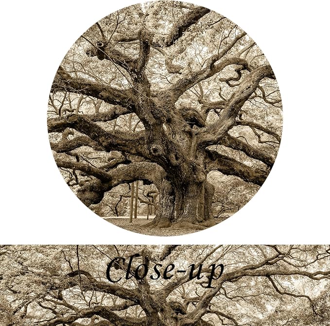 KREATIVE ARTS Large Sepia Angel Oak Tree Canvas Wall Art - 20"x48" Vintage Forest Landscape Framed Painting - Abstract Nature Photo Prints for Living Room, Bedroom, Office, Home Decor