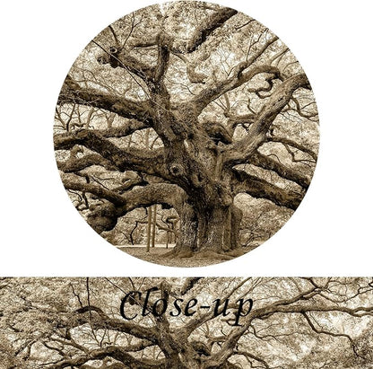 KREATIVE ARTS Large Sepia Angel Oak Tree Canvas Wall Art - 20"x48" Vintage Forest Landscape Framed Painting - Abstract Nature Photo Prints for Living Room, Bedroom, Office, Home Decor
