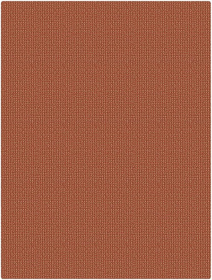 KOZYFLY Washable 3x4 Woven Entry Area Rug, Braided Throw Rugs for Entryway, Non Slip Door Mat Indoor Outdoor Entrance, Front Porch Foyer Carpet for Kitchen, mudroom, Bathroom, Burnt Orange/Tan