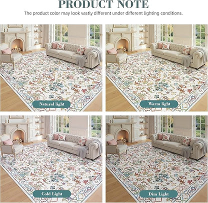 Colorful Area Rug 2x3 Entryway Rug for Bedroom Bathroom, Non-Slip Low-Pile Washable Boho Carpet Retro Accent Doormat for Laundry Room Hallway Kitchen 24x36 Inch