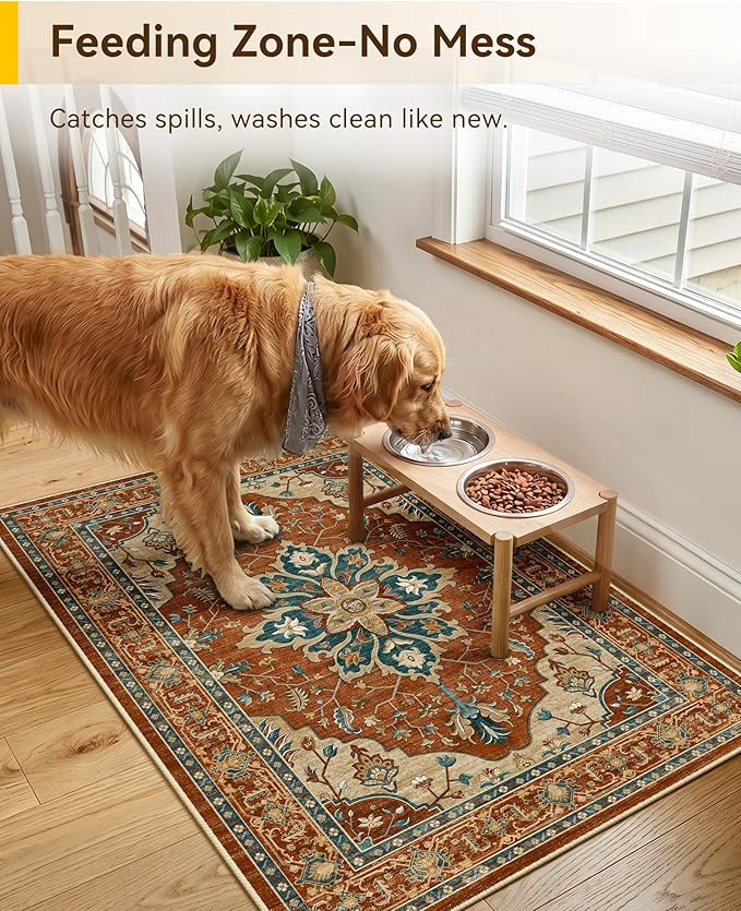 RELEANY Area Rugs 2'x3' Kitchen Rugs Entry Rug Small Rugs for Entryway Kitchen Bathroom Door Mat Indoor Entrance,Washable Non Slip, Red Orange Blue Brown