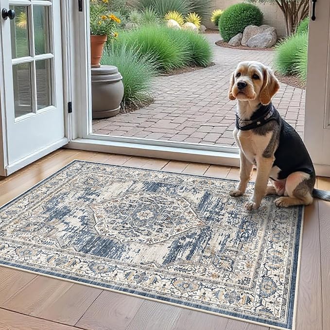 Washable Area Rugs 2x3 Entryway: Soft Ultra Thin Low Pile Mat Machine Washable Indoor Doormat Lightweight Entry Rug Anti Slip Backing Rugs for Living Room Bedroom Kitchen 2'x3' Blue