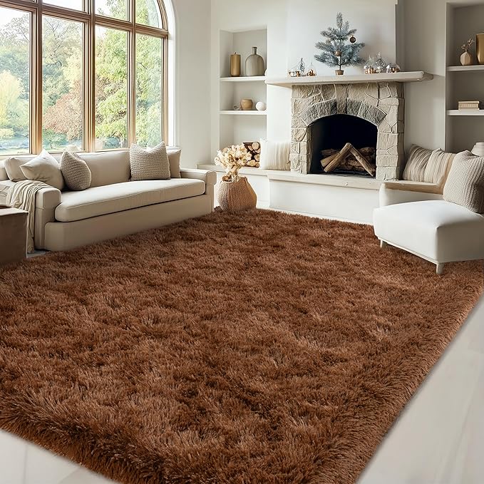 Brown Rug for Living Room Bedroom, 6x9 Fuzzy Fluffy Carpet, Shag Area Rugs for Kids Home Decor Aesthetic, Non Slip
