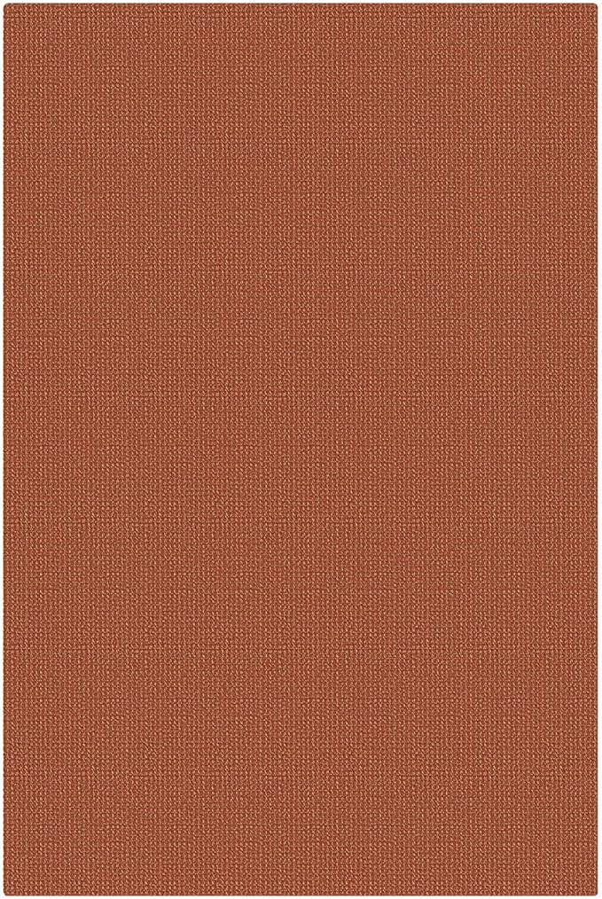 KOZYFLY Washable 4x6 Entry Woven Area Rug, Braided Throw Rugs for Entryway, Non Slip Door Mat Indoor Entrance, Front Porch Carpet for Foyer, Kitchen, Bedroom, Living Room, Burnt Orange/Tan