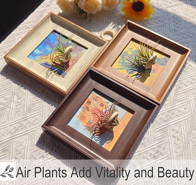 2-in-1 Magnetic Van Gogh Wall Art & Air Plant Holder Frame 3 pack Floating Airplant Holder No-Drill with Famous Prints (Café Terrace, Irises, Sunflowers) for Living Room Bedroom Home Decor Lover Gift