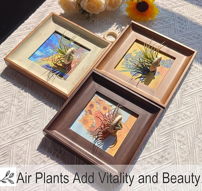 2-in-1 Magnetic Van Gogh Wall Art & Air Plant Holder Frame 3 pack Floating Airplant Holder No-Drill with Famous Prints (Café Terrace, Irises, Sunflowers) for Living Room Bedroom Home Decor Lover Gift