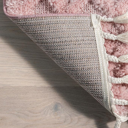 nuLOOM Akia Lattice High/Low Tassel Area Rug, 7'10" x 10', Pink