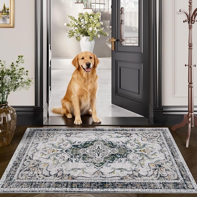 RUSHUFFY 2x3 Washable Small Rug Door Mat, Rugs for Entryway, Vintage Boho Distressed Print Pattern Non-Slip Carpet, Throw Rug for Indoor Entrance Kitchen Bedroom Bathroom Laundry Floor, Grey White