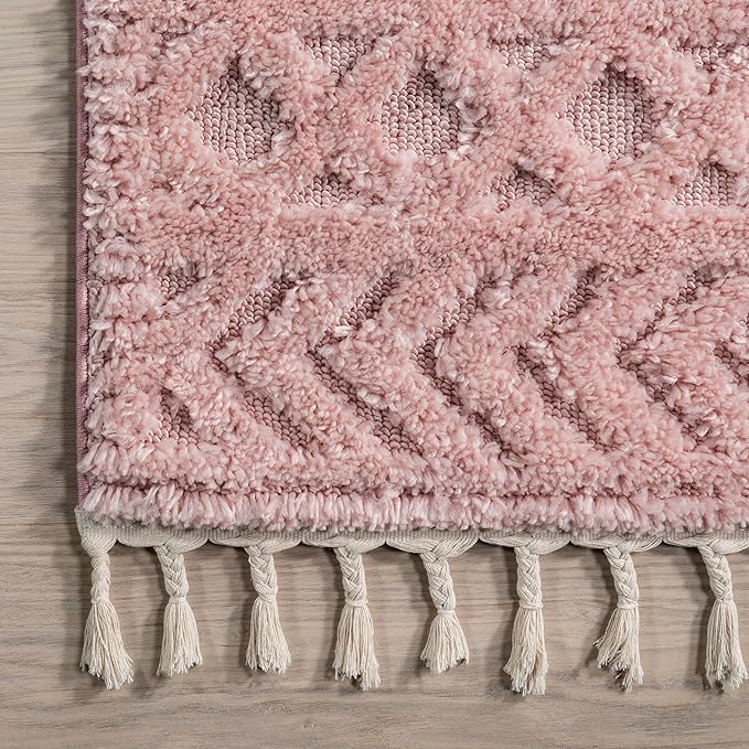 nuLOOM Akia Lattice High/Low Tassel Area Rug, 7'10" x 10', Pink
