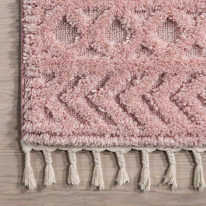 nuLOOM Akia Lattice High/Low Tassel Area Rug, 7'10" x 10', Pink
