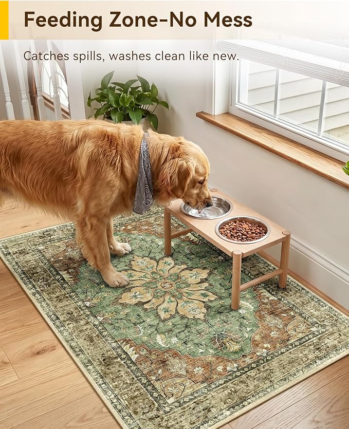 RELEANY Area Rugs 2'x3' Kitchen Rugs Entry Rug Small Rugs for Entryway Kitchen Bathroom Door Mat Indoor Entrance,Washable Non Slip, Brick Red Rust Neutral Brown Burnt Orange Green