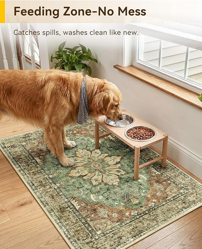 RELEANY Area Rugs 2'x3' Kitchen Rugs Entry Rug Small Rugs for Entryway Kitchen Bathroom Door Mat Indoor Entrance,Washable Non Slip, Brick Red Rust Neutral Brown Burnt Orange Green
