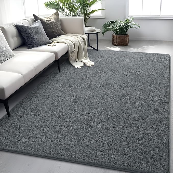 Dark Grey Rugs for Living Room Bedroom, 4x6 Feet Modern Area Rug, Non Slip Bedside Indoor Floor Carpet, Washable Carpets for Kids Girls Boys Baby Teen Dorm Nursery Home Decor