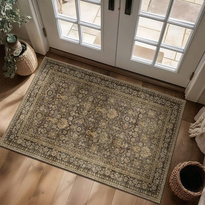 Washable 3x5 Entryway Rug, Boho Non-Slip Vintage Distress Small Rugs for Kitchen Nursery Office Bedroom, 0.3" Neutral Oriental Throw Thin Carpet with Cushioning Pad, Red/Brown/Multi, C4