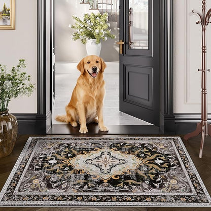 RUSHUFFY 2x3 Washable Small Rug Door Mat, Rugs for Entryway, Vintage Boho Distressed Print Pattern Non-Slip Carpet, Throw Rug for Indoor Entrance Kitchen Bedroom Bathroom Laundry Floor, Black & Gold