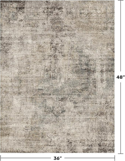 3x4 Indoor Floor Mats for Entryway - Taupe Washable Farmhouse Area Rug for Bedroom, Kitchen, Laundry Room, Brown Vintage Home Décor, Low Pile & Soft Stain Resistant Carpet
