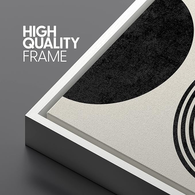SIGNLEADER Framed Canvas Print Wall Art Spiral Parabolas & Solid Semi Circle Geometric Shapes Drawings Modern Art Contemporary Edgy Black and White for Living Room, Bedroom, Office - 16"x24"x3 WHITE