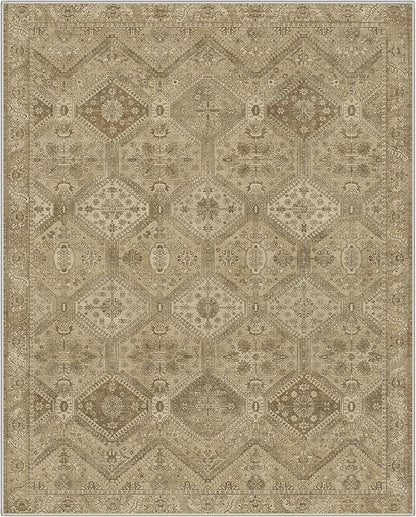 GENIMO 6x9Area Rugs for Living Room, Machine Washable Non Slip Vintage Rugs, Low Pile Lightweight Print Rug for Bedroom, Dining Room, Home Office, Tan Brown