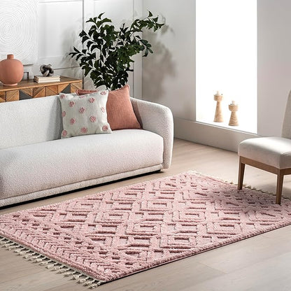 nuLOOM Akia Lattice High/Low Tassel Area Rug, 7'10" x 10', Pink